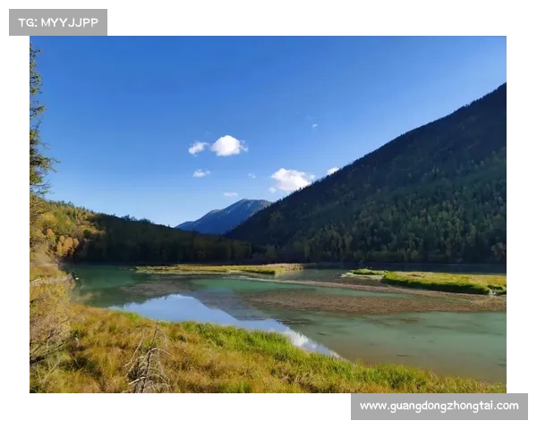 荒漠深处的心灵冥想之旅与自然和谐共生的探索 荒漠深处的心灵冥想之旅与自然和谐共生的探索