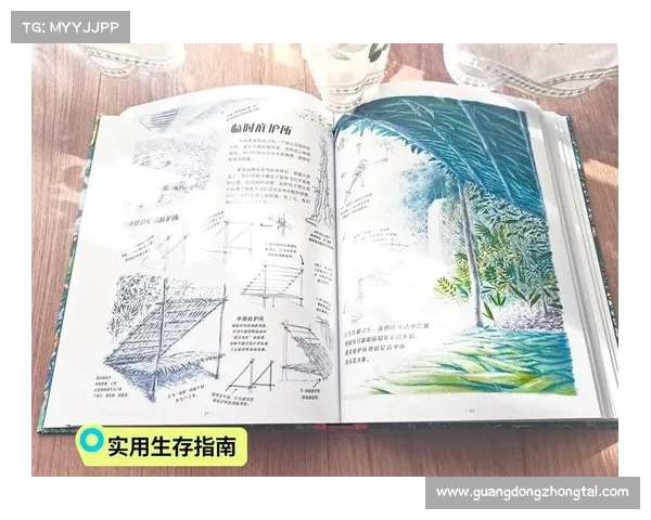 创意网站探索指南：走进无意义奇观的奇妙世界
