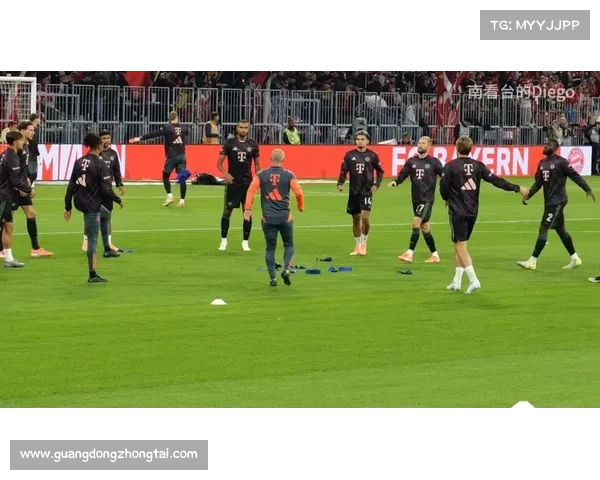 如何通过多种途径了解拜仁慕尼黑主场球场的名称及其历史背景