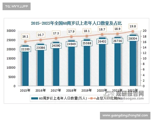 建业足球俱乐部组织结构与功能分析：发展历程与现状的深度探讨